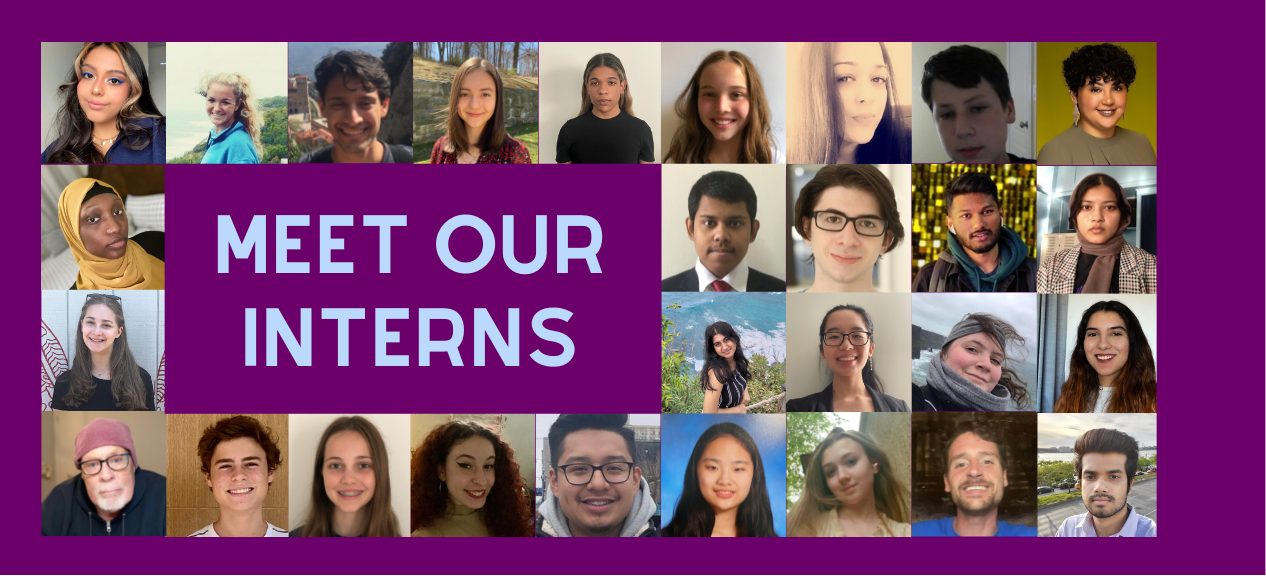 Meet Our Interns